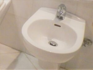 イタリアの街中でトイレに行きたくなったら ビデとは Lena Tavi