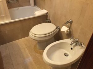 イタリアの街中でトイレに行きたくなったら ビデとは Lena Tavi