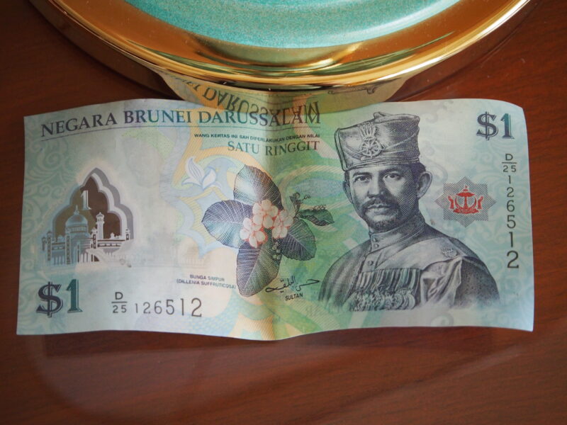 ブルネイの紙幣　国王